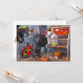 愛らしい犬たちが感謝祭の挨拶状を喜ぶ  カード (正面/裏面インサイチュ)