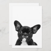 愛らしい犬 |ブラックフランスのブルドッグ顔 シーズンカード (正面/裏面)