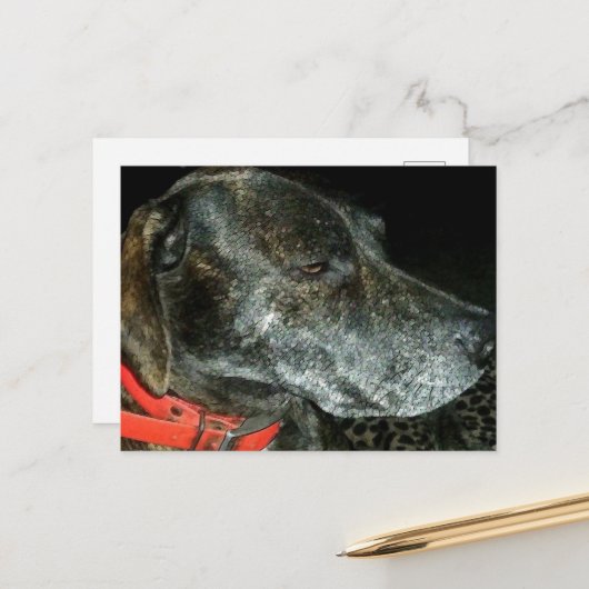 愛らしい犬 ポストカード (正面/裏面インサイチュ)