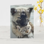 愛らしい猫と犬のバレンタインデーのカード カード (黄色い花)