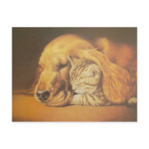 愛らしい猫と犬の寄り添うアートプリント