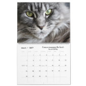 愛らしい猫 2022年カレンダー カレンダー (3月 2027)