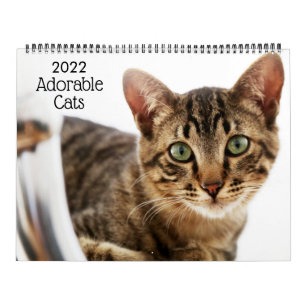 愛らしい猫 2022年カレンダー カレンダー