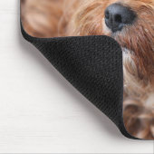 愛らしい甘いカヴォードルパピー マウスパッド (コーナー)