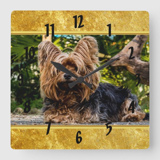 愛らしい甘いヨークシャーテリア金ゴールドフォイルデザイン スクエア壁時計 (正面)