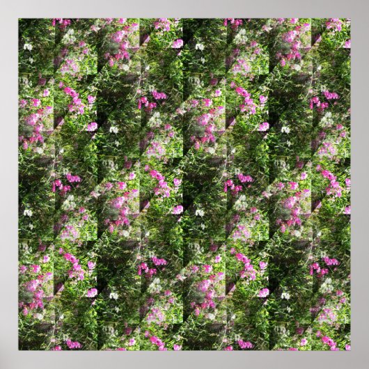 愛らしい甘い人….. ポスター (正面)