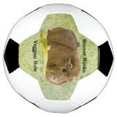 愛らしい生姜ギニーピ食べグのセロリ写真 サッカーボール (回転)