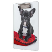 愛らしい白黒のブルドッグの子犬の写真 クリップボード (左)