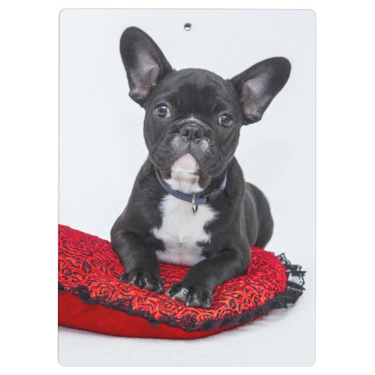 愛らしい白黒のブルドッグの子犬の写真 クリップボード (裏面)