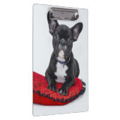 愛らしい白黒のブルドッグの子犬の写真 クリップボード (右)