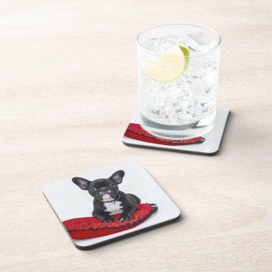 愛らしい白黒のブルドッグの子犬の写真 コースター (右側)