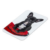 愛らしい白黒のブルドッグの子犬の写真 マグネット (左側)