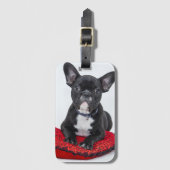 愛らしい白黒のブルドッグの子犬の写真 ラゲッジタグ (正面縦)