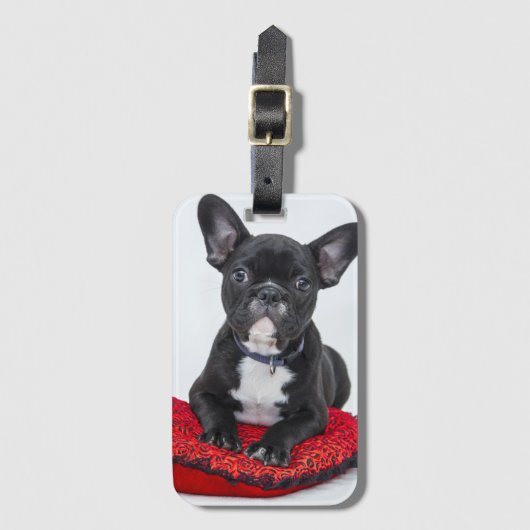 愛らしい白黒のブルドッグの子犬の写真 ラゲッジタグ (正面縦)