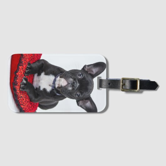 愛らしい白黒のブルドッグの子犬の写真 ラゲッジタグ (正面横)