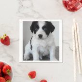 愛らしい白黒の子犬 スタンダードカクテルナプキン (インサイチュ)