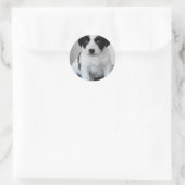 愛らしい白黒の子犬 ラウンドシール (バッグ)