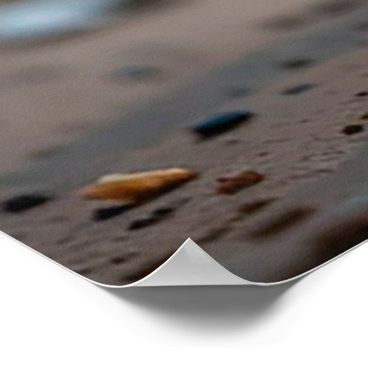 愛らしい白黒の子猫座りアウトドア ポスター (角)