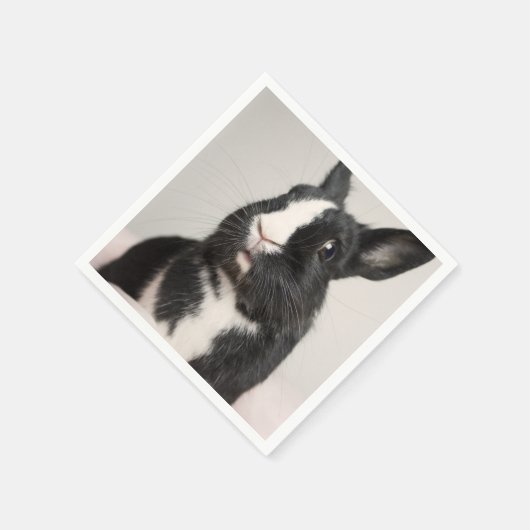 愛らしい白黒バニーウサギ スタンダードカクテルナプキン (角)