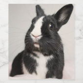 愛らしい白黒バニーウサギ ワインラベル (シングルラベル)