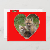 愛らしい目バレンタイン ポストカード (正面/裏面)