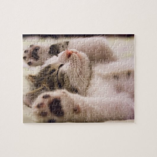 愛らしい眠れる子猫パズル ジグソーパズル (横)