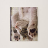 愛らしい眠れる子猫パズル ジグソーパズル (縦)