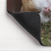 愛らしい睡眠猫のmousepad マウスパッド (コーナー)