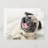 愛らしい笑いのパグデザイン ポストカード (正面/裏面)