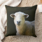 愛らしい羊 クッション (ブランケット)