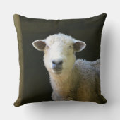 愛らしい羊 クッション (裏面)