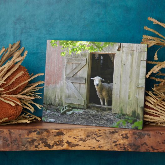 愛らしい羊 フォトプラーク (側面)