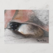 愛らしい考えるシャムの子猫の毛布 ポストカード (正面)