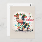 愛らしい聖なる牛のクリスマス ポストカード (正面/裏面)