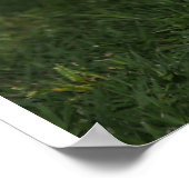 愛らしい聖ベルナールの子犬の3バレル ポスター (角)