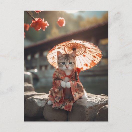 愛らしい芸者子猫 ポストカード (正面)