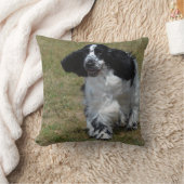 愛らしい英国のコッカースパニエル クッション (ブランケット)