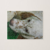 愛らしい英国セッター ジグソーパズル (横)