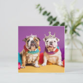 愛らしい英語のブルドッグのグリーティングカード シーズンカード (スタンド正面)