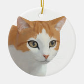 愛らしい茶トラの猫アート セラミックオーナメント (正面)