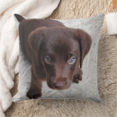 愛らしい茶色の子犬の装飾用クッション クッション (ブランケット)