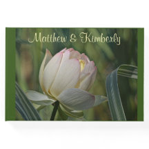 愛らしい蓮の花