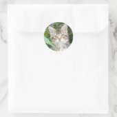 愛らしい虎猫キッテン ラウンドシール (バッグ)