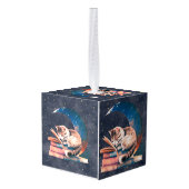 愛らしい読猫・月の本 キューブオーナメント (裏面アングル)