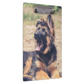 愛らしい長毛のドイツの羊飼いの子犬 クリップボード (右)