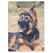 愛らしい長毛のドイツの羊飼いの子犬 クリップボード (正面)