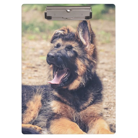 愛らしい長毛のドイツの羊飼いの子犬 クリップボード (正面)