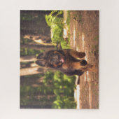 愛らしい長毛のドイツの羊飼いの子犬 ジグソーパズル (縦)