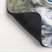 愛らしい青い目の銀製の虎猫の子ネコのマウスパッド マウスパッド (コーナー)