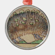 愛らしい青足のハリネズミ